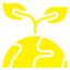 Icono
